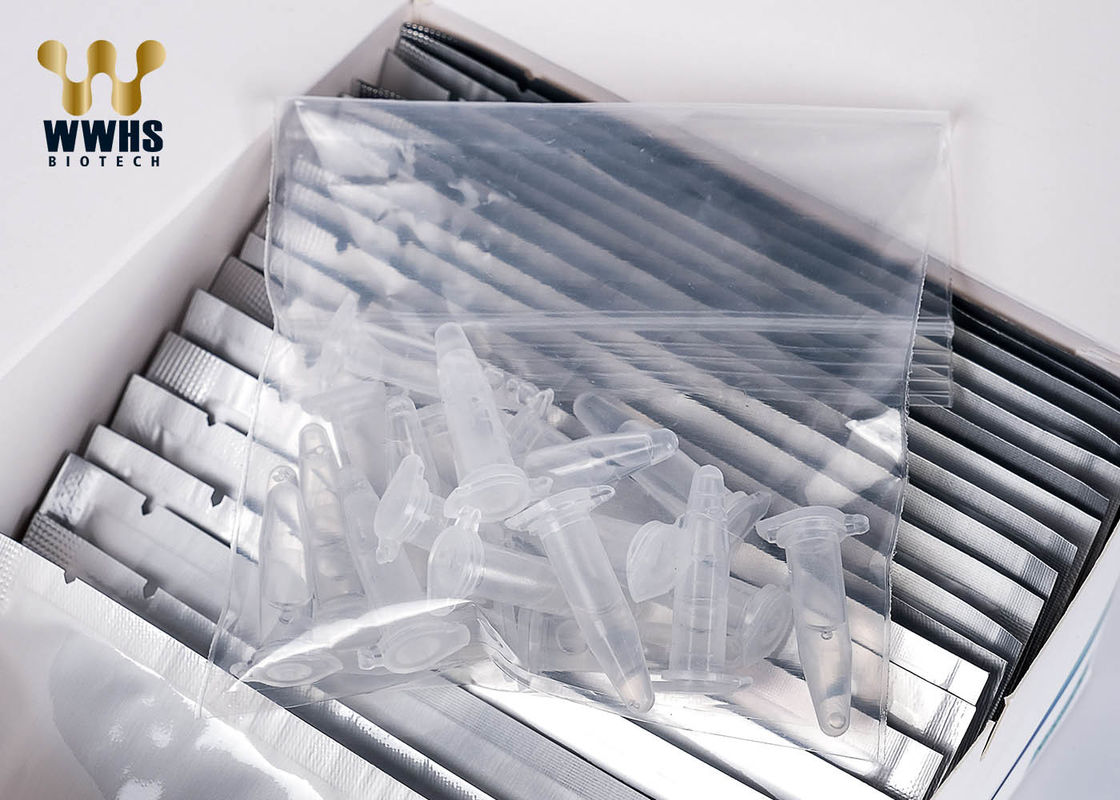 FluB Real Time PCR Kits การทดสอบขั้นตอนเดียว FIA Rapid Quantitative Test Kit 20T Package